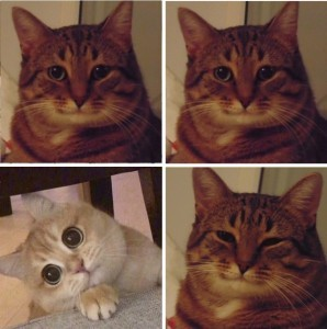 And ...? And ...! Blank Meme Template