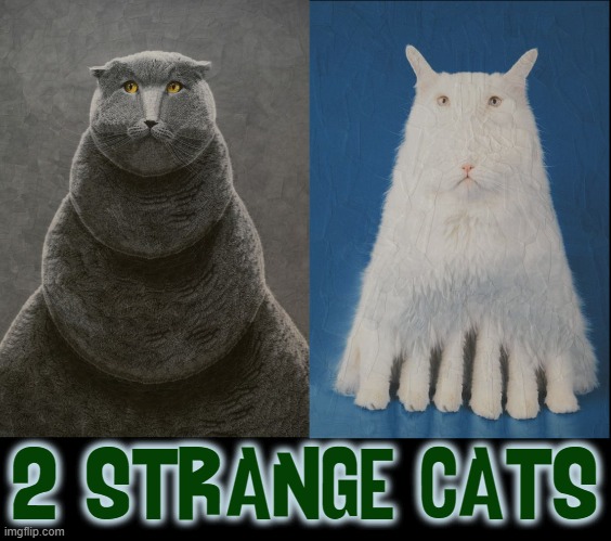 Cats in Art | 2 STRANGE CATS | image tagged in vince vance,strange,cats,funny cat meme,weird art,freaky | made w/ Imgflip meme maker