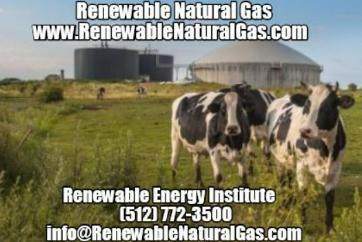 Renewable Natural Gas Blank Meme Template