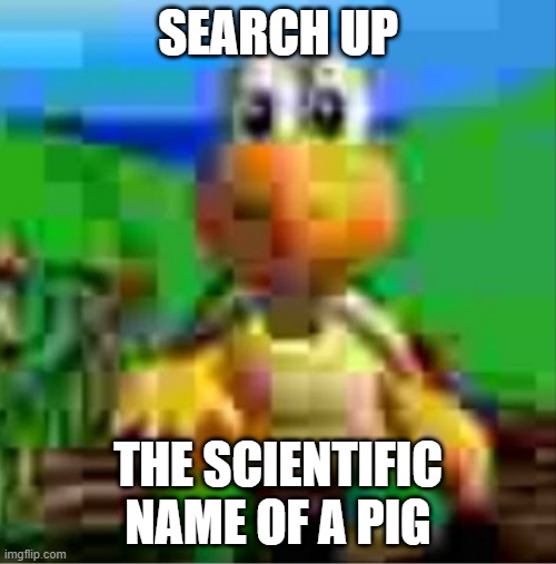 search it up | SEARCH UP; THE SCIENTIFIC NAME OF A PIG | image tagged in it would be so awesome | made w/ Imgflip meme maker