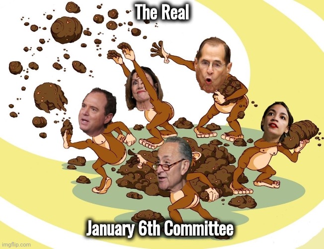 Flinging Poop | The Real January 6th Committee | image tagged in flinging poop | made w/ Imgflip meme maker