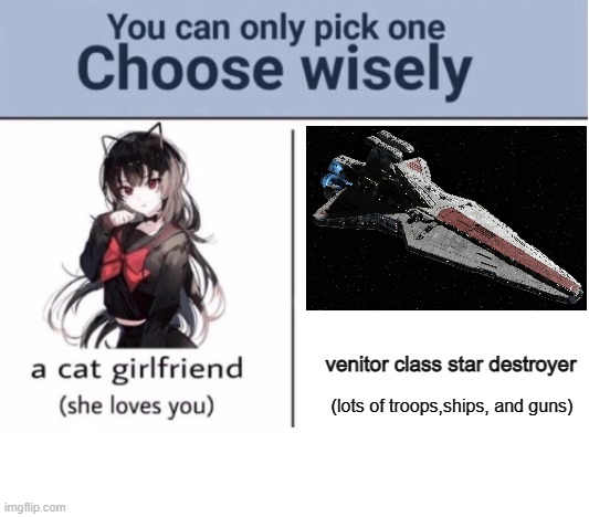 Choose wisely | venitor class star destroyer; (lots of troops,ships, and guns) | image tagged in choose wisely | made w/ Imgflip meme maker