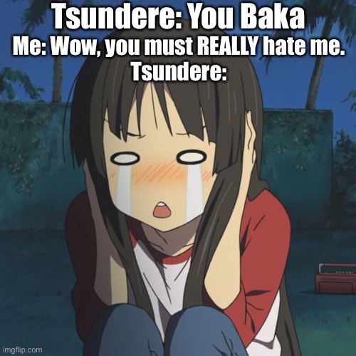 Riggety Rekt | Tsundere: You Baka; Me: Wow, you must REALLY hate me.
Tsundere: | image tagged in crying tsundere,tsundere,rekt,crying,anime,anime girl | made w/ Imgflip meme maker