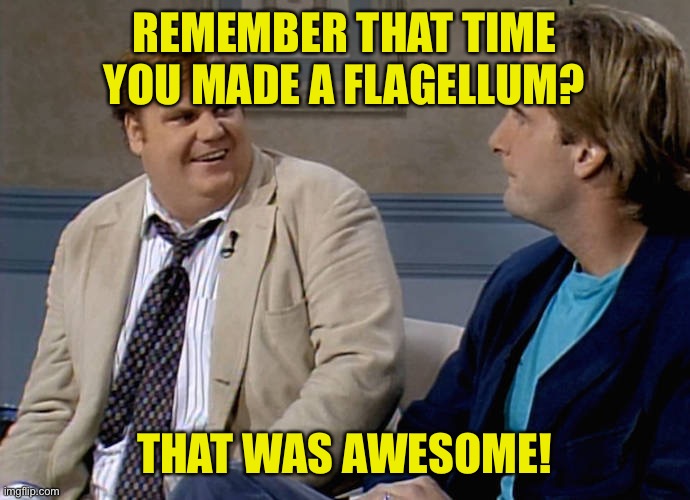 Remember that time | REMEMBER THAT TIME YOU MADE A FLAGELLUM? THAT WAS AWESOME! | image tagged in remember that time | made w/ Imgflip meme maker