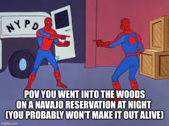 Spiderman looking at Spiderman | POV YOU WENT INTO THE WOODS ON A NAVAJO RESERVATION AT NIGHT 
(YOU PROBABLY WON’T MAKE IT OUT ALIVE) | image tagged in spiderman looking at spiderman,distressingmemes | made w/ Imgflip meme maker