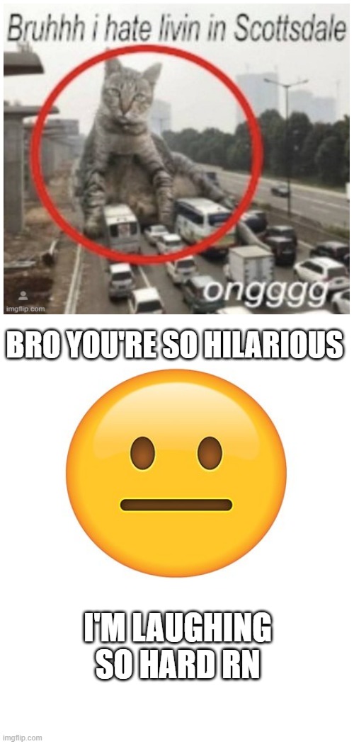 Straight Face | BRO YOU'RE SO HILARIOUS; I'M LAUGHING SO HARD RN | image tagged in straight face | made w/ Imgflip meme maker