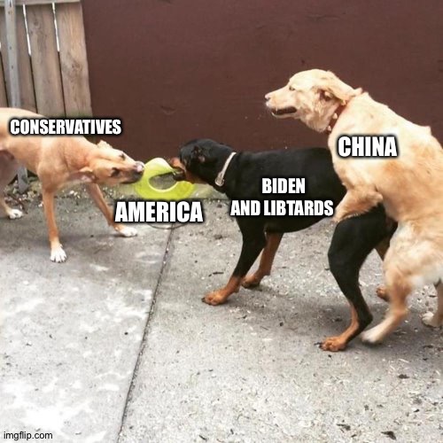 This Is My Life | CONSERVATIVES; CHINA; BIDEN AND LIBTARDS; AMERICA | image tagged in this is my life | made w/ Imgflip meme maker