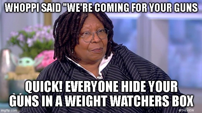 WHOPPI SAID "WE'RE COMING FOR YOUR GUNS; QUICK! EVERYONE HIDE YOUR GUNS IN A WEIGHT WATCHERS BOX | made w/ Imgflip meme maker