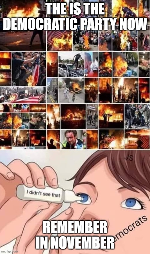 This Is The Democratic Party | THE IS THE DEMOCRATIC PARTY NOW; REMEMBER IN NOVEMBER | image tagged in this is the democratic party | made w/ Imgflip meme maker