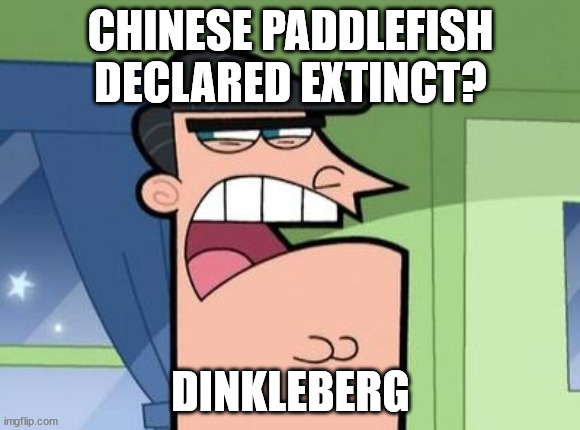Dinkleberg | CHINESE PADDLEFISH DECLARED EXTINCT? DINKLEBERG | image tagged in dinkleberg | made w/ Imgflip meme maker