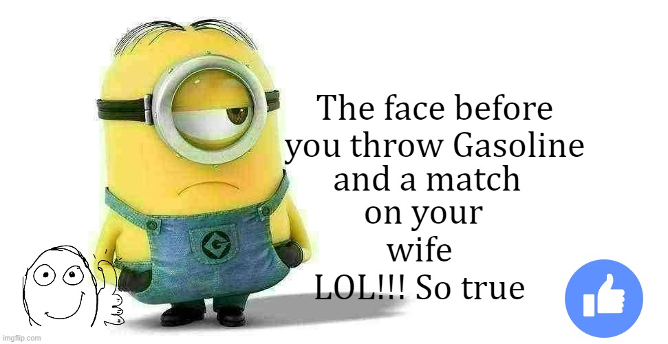 LOL! So relatable! |  The face before
you throw Gasoline; and a match; on your wife
LOL!!! So true | image tagged in minion | made w/ Imgflip meme maker