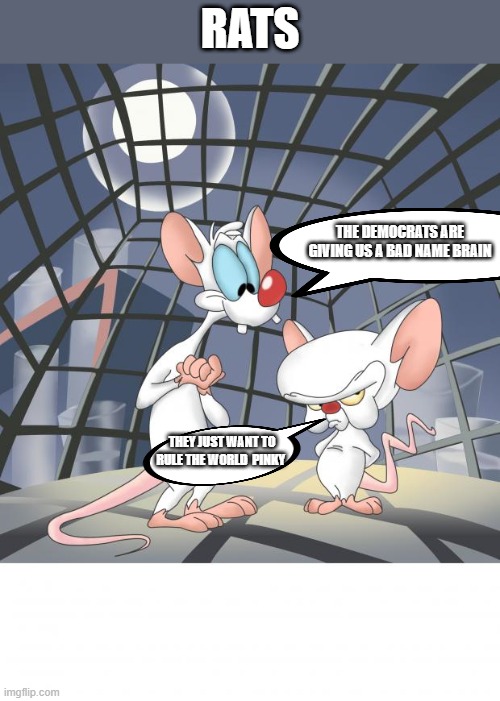 DEMrats | RATS; THE DEMOCRATS ARE GIVING US A BAD NAME BRAIN; THEY JUST WANT TO RULE THE WORLD  PINKY | image tagged in pinky and the brain | made w/ Imgflip meme maker