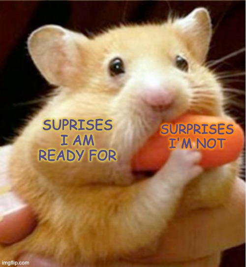 Hamster eats carrot mouthful | SURPRISES
I'M NOT; SUPRISES
I AM READY FOR | image tagged in hamster eats carrot mouthful,hamster,surprise,trouble | made w/ Imgflip meme maker