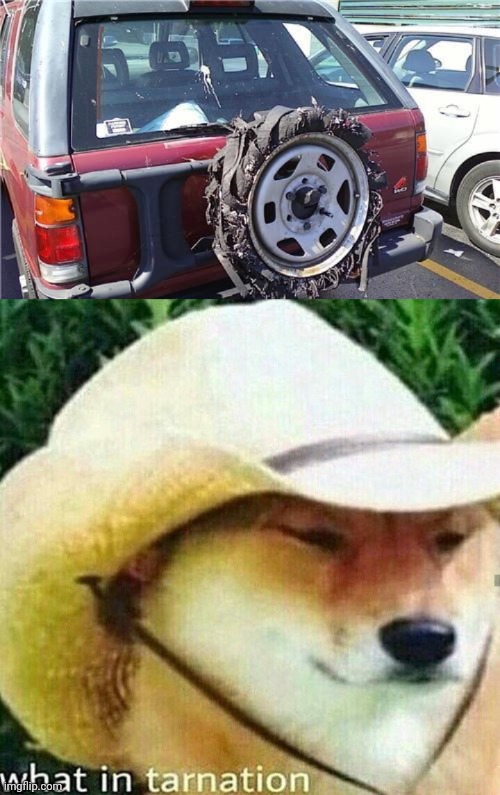Tire fail | image tagged in what in tarnation dog,jeep,cars,tire,you had one job,memes | made w/ Imgflip meme maker