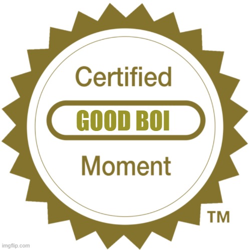 Certified Moment | GOOD BOI | image tagged in certified moment | made w/ Imgflip meme maker