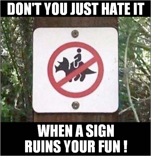 No Riding Triceratops Sign ! |  DON'T YOU JUST HATE IT; WHEN A SIGN RUINS YOUR FUN ! | image tagged in fun,funny signs,dinosaur,riding | made w/ Imgflip meme maker
