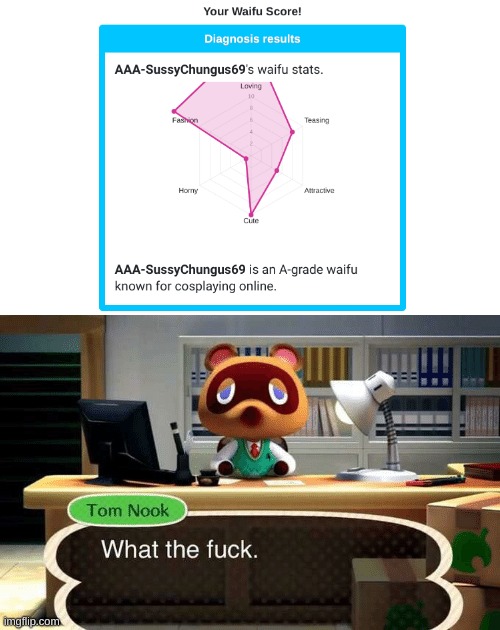 I tried out the waifu stats thing and... WTF. | image tagged in memes,funny,tom nook,waifu,wtf,stop reading the tags | made w/ Imgflip meme maker