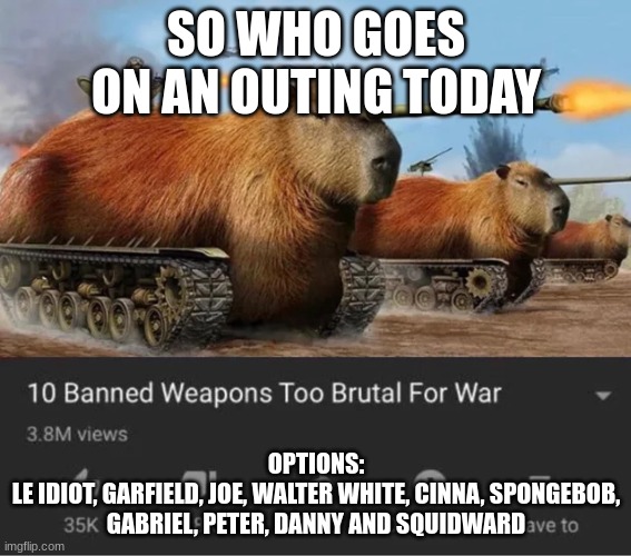capybara millitary | SO WHO GOES ON AN OUTING TODAY; OPTIONS:
LE IDIOT, GARFIELD, JOE, WALTER WHITE, CINNA, SPONGEBOB, GABRIEL, PETER, DANNY AND SQUIDWARD | image tagged in capybara millitary | made w/ Imgflip meme maker