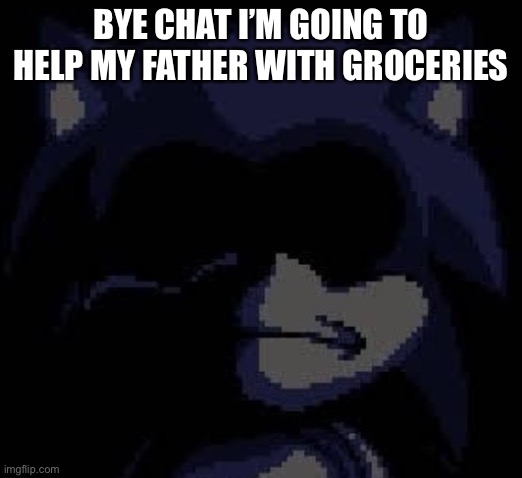 Lord X | BYE CHAT I’M GOING TO HELP MY FATHER WITH GROCERIES | image tagged in lord x | made w/ Imgflip meme maker