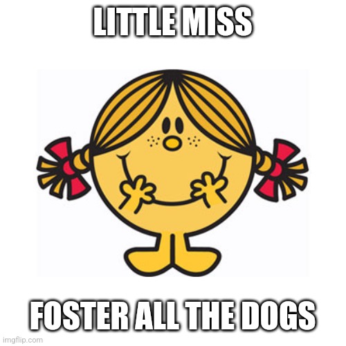 little miss sunshine | LITTLE MISS; FOSTER ALL THE DOGS | image tagged in little miss sunshine | made w/ Imgflip meme maker