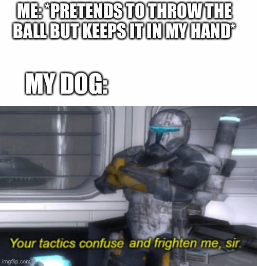Sad doggo | ME: *PRETENDS TO THROW THE BALL BUT KEEPS IT IN MY HAND*; MY DOG: | image tagged in your tactics confuse and frighten me sir,dogs | made w/ Imgflip meme maker