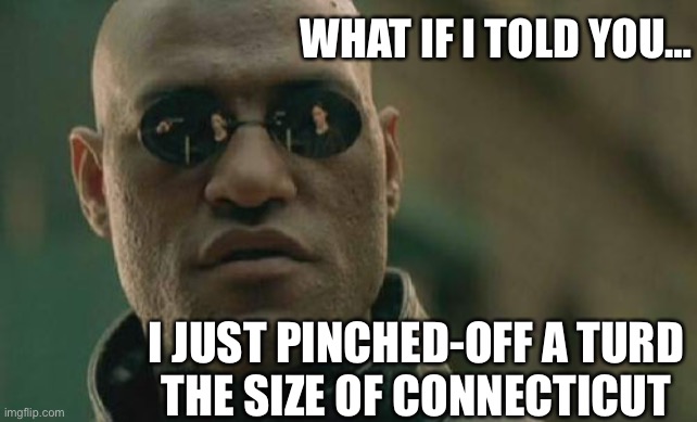 Bowl of Truth |  WHAT IF I TOLD YOU…; I JUST PINCHED-OFF A TURD
 THE SIZE OF CONNECTICUT | image tagged in memes,matrix morpheus,funny,upvotes | made w/ Imgflip meme maker