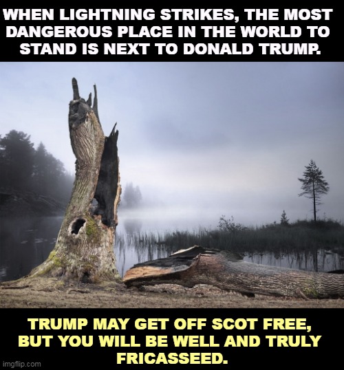 WHEN LIGHTNING STRIKES, THE MOST 
DANGEROUS PLACE IN THE WORLD TO 
STAND IS NEXT TO DONALD TRUMP. TRUMP MAY GET OFF SCOT FREE, 
BUT YOU WILL BE WELL AND TRULY 
FRICASSEED. | image tagged in trump,lightning,dangerous | made w/ Imgflip meme maker
