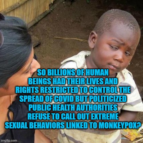 Yep. | SO BILLIONS OF HUMAN BEINGS HAD THEIR LIVES AND RIGHTS RESTRICTED TO CONTROL THE SPREAD OF COVID BUT POLITICIZED PUBLIC HEALTH AUTHORITIES REFUSE TO CALL OUT EXTREME SEXUAL BEHAVIORS LINKED TO MONKEYPOX? | image tagged in third world skeptical kid | made w/ Imgflip meme maker