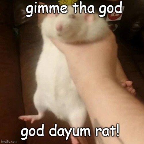Grabbing a fat rat | gimme tha god; god dayum rat! | image tagged in grabbing a fat rat | made w/ Imgflip meme maker