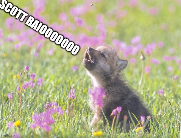 Baby Insanity Wolf Meme | SCOTT BAIOOOOOOO | image tagged in memes,baby insanity wolf | made w/ Imgflip meme maker
