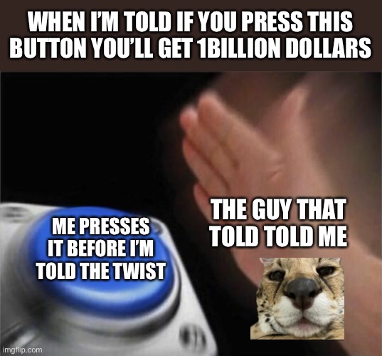 Blank Nut Button | WHEN I’M TOLD IF YOU PRESS THIS BUTTON YOU’LL GET 1BILLION DOLLARS; THE GUY THAT TOLD TOLD ME; ME PRESSES IT BEFORE I’M TOLD THE TWIST | image tagged in memes,blank nut button | made w/ Imgflip meme maker