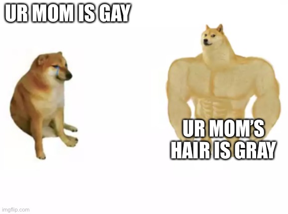 buff doge vs cheems reversed | UR MOM IS GAY; UR MOM’S HAIR IS GRAY | image tagged in buff doge vs cheems reversed | made w/ Imgflip meme maker