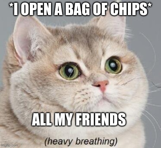 Heavy Breathing Cat | *I OPEN A BAG OF CHIPS*; ALL MY FRIENDS | image tagged in memes,heavy breathing cat | made w/ Imgflip meme maker