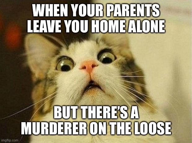 Cat | WHEN YOUR PARENTS LEAVE YOU HOME ALONE; BUT THERE’S A MURDERER ON THE LOOSE | image tagged in memes,scared cat | made w/ Imgflip meme maker