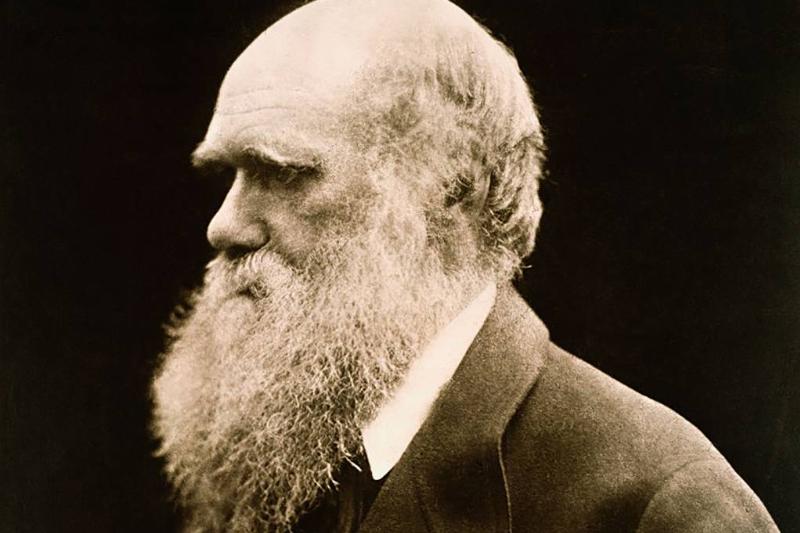 High Quality Charles Darwin Blank Meme Template