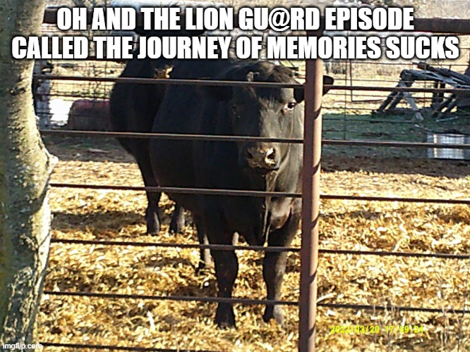 Be like cow | OH AND THE LION GU@RD EPISODE CALLED THE JOURNEY OF MEMORIES SUCKS | image tagged in cow,the lion gu4rd | made w/ Imgflip meme maker