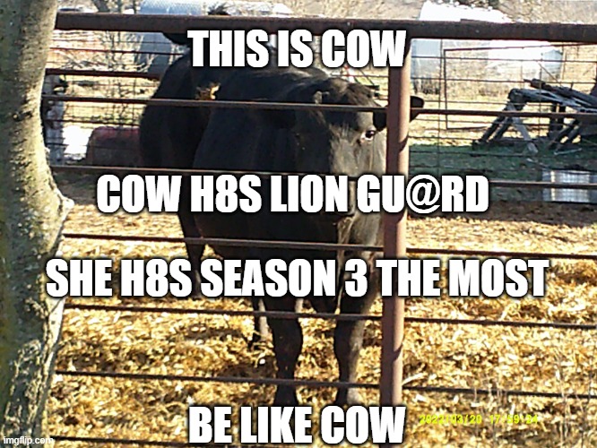 Cow | THIS IS COW; COW H8S LION GU@RD; SHE H8S SEASON 3 THE MOST; BE LIKE COW | image tagged in cow,lion gu4rd | made w/ Imgflip meme maker