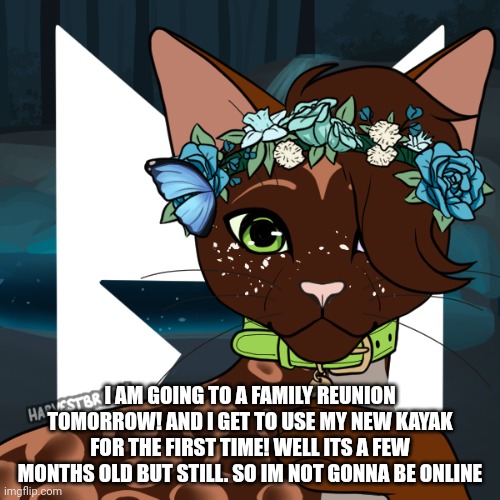 Dawnstar | I AM GOING TO A FAMILY REUNION TOMORROW! AND I GET TO USE MY NEW KAYAK FOR THE FIRST TIME! WELL ITS A FEW MONTHS OLD BUT STILL. SO IM NOT GONNA BE ONLINE | image tagged in dawnstar | made w/ Imgflip meme maker