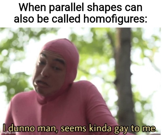 I dunno man seems kinda gay to me | When parallel shapes can also be called homofigures: | image tagged in i dunno man seems kinda gay to me,memes,funny | made w/ Imgflip meme maker