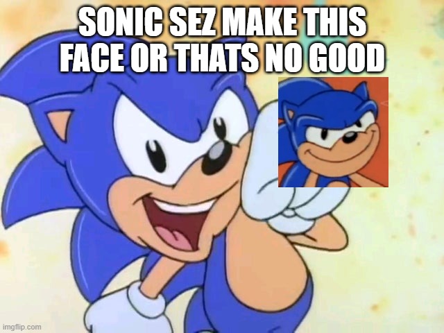 sonic sez | SONIC SEZ MAKE THIS FACE OR THATS NO GOOD | image tagged in sonic sez,memes,funny,funny meme,sonic the hedgehog | made w/ Imgflip meme maker