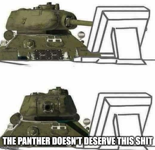 T-34 react | THE PANTHER DOESN'T DESERVE THIS SHIT | image tagged in t-34 react | made w/ Imgflip meme maker