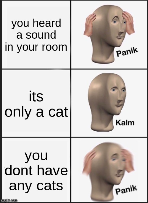Panik Kalm Panik Meme | you heard a sound in your room; its only a cat; you dont have any cats | image tagged in memes,panik kalm panik | made w/ Imgflip meme maker