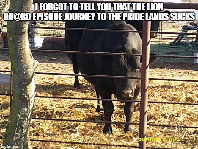 Cow | I FORGOT TO TELL YOU THAT THE LION GU@RD EPISODE JOURNEY TO THE PRIDE LANDS SUCKS | image tagged in cow | made w/ Imgflip meme maker