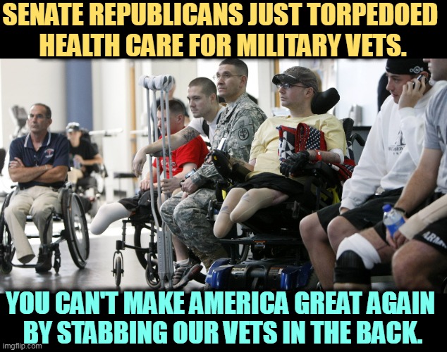 Agent Orange causes cancer, heart disease, severe organ dysfunction, painful skin conditions, and neurological problems. | SENATE REPUBLICANS JUST TORPEDOED 
HEALTH CARE FOR MILITARY VETS. YOU CAN'T MAKE AMERICA GREAT AGAIN 
BY STABBING OUR VETS IN THE BACK. | image tagged in soldiers,veterans,poison,republicans,betrayal | made w/ Imgflip meme maker
