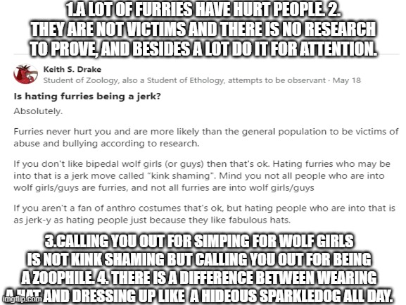 Stupid furry on Quora spreading propaganda: | 1.A LOT OF FURRIES HAVE HURT PEOPLE. 2. THEY ARE NOT VICTIMS AND THERE IS NO RESEARCH TO PROVE, AND BESIDES A LOT DO IT FOR ATTENTION. 3.CALLING YOU OUT FOR SIMPING FOR WOLF GIRLS IS NOT KINK SHAMING BUT CALLING YOU OUT FOR BEING A ZOOPHILE. 4. THERE IS A DIFFERENCE BETWEEN WEARING A HAT AND DRESSING UP LIKE  A HIDEOUS SPARKLEDOG ALL DAY. | image tagged in idiots,cringe,wtf | made w/ Imgflip meme maker