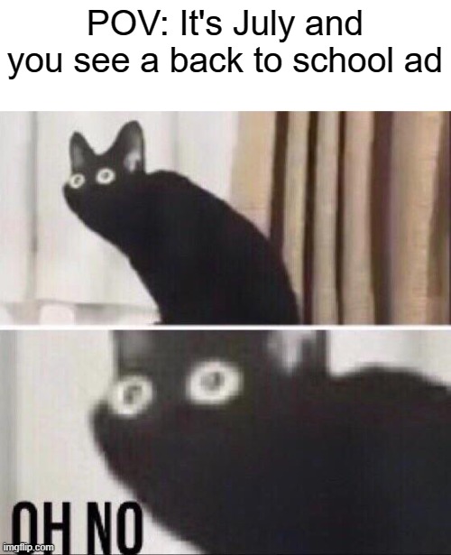 OH DEAR HEAVENS | POV: It's July and you see a back to school ad | image tagged in oh no cat,back to school,ads,2022,relatable,school | made w/ Imgflip meme maker