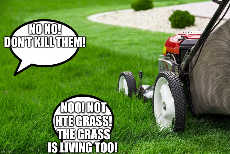 Lawn Mower | NO NO! DON’T KILL THEM! NOO! NOT HTE GRASS! THE GRASS IS LIVING TOO! | image tagged in lawn mower | made w/ Imgflip meme maker