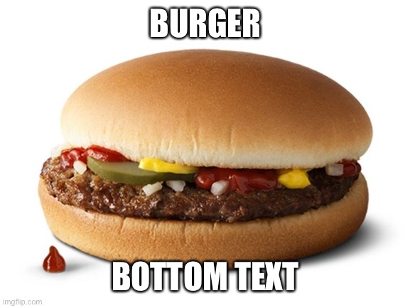 Burger | BURGER; BOTTOM TEXT | image tagged in burger,memes,funny,stop reading the tags,i quit,i just made my own tag | made w/ Imgflip meme maker