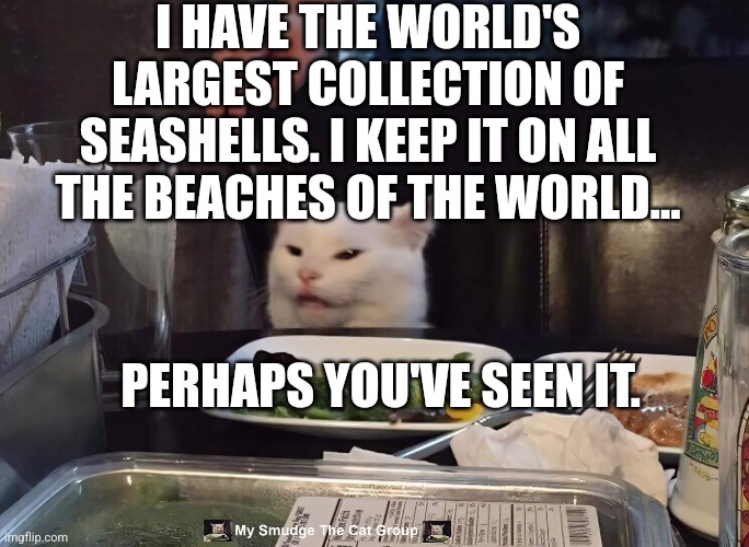 I HAVE THE WORLD'S LARGEST COLLECTION OF SEASHELLS. I KEEP IT ON ALL THE BEACHES OF THE WORLD... PERHAPS YOU'VE SEEN IT. | image tagged in smudge the cat | made w/ Imgflip meme maker