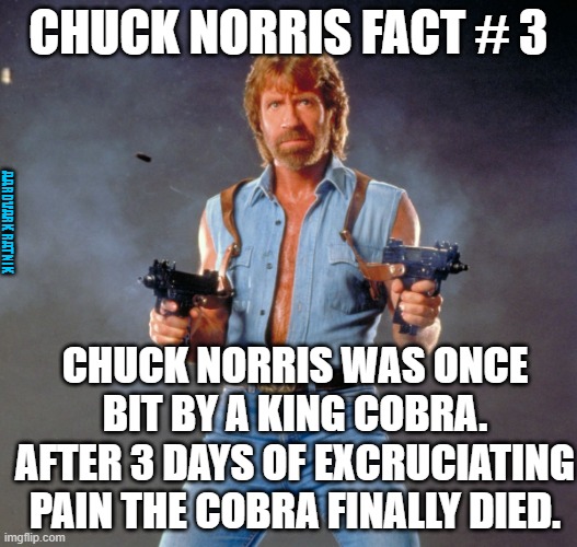 Norris 3 |  CHUCK NORRIS FACT # 3; AARDVARK RATNIK; CHUCK NORRIS WAS ONCE BIT BY A KING COBRA.
AFTER 3 DAYS OF EXCRUCIATING PAIN THE COBRA FINALLY DIED. | image tagged in chuck norris guns,chuck norris,funny memes,cobra,bruce lee | made w/ Imgflip meme maker